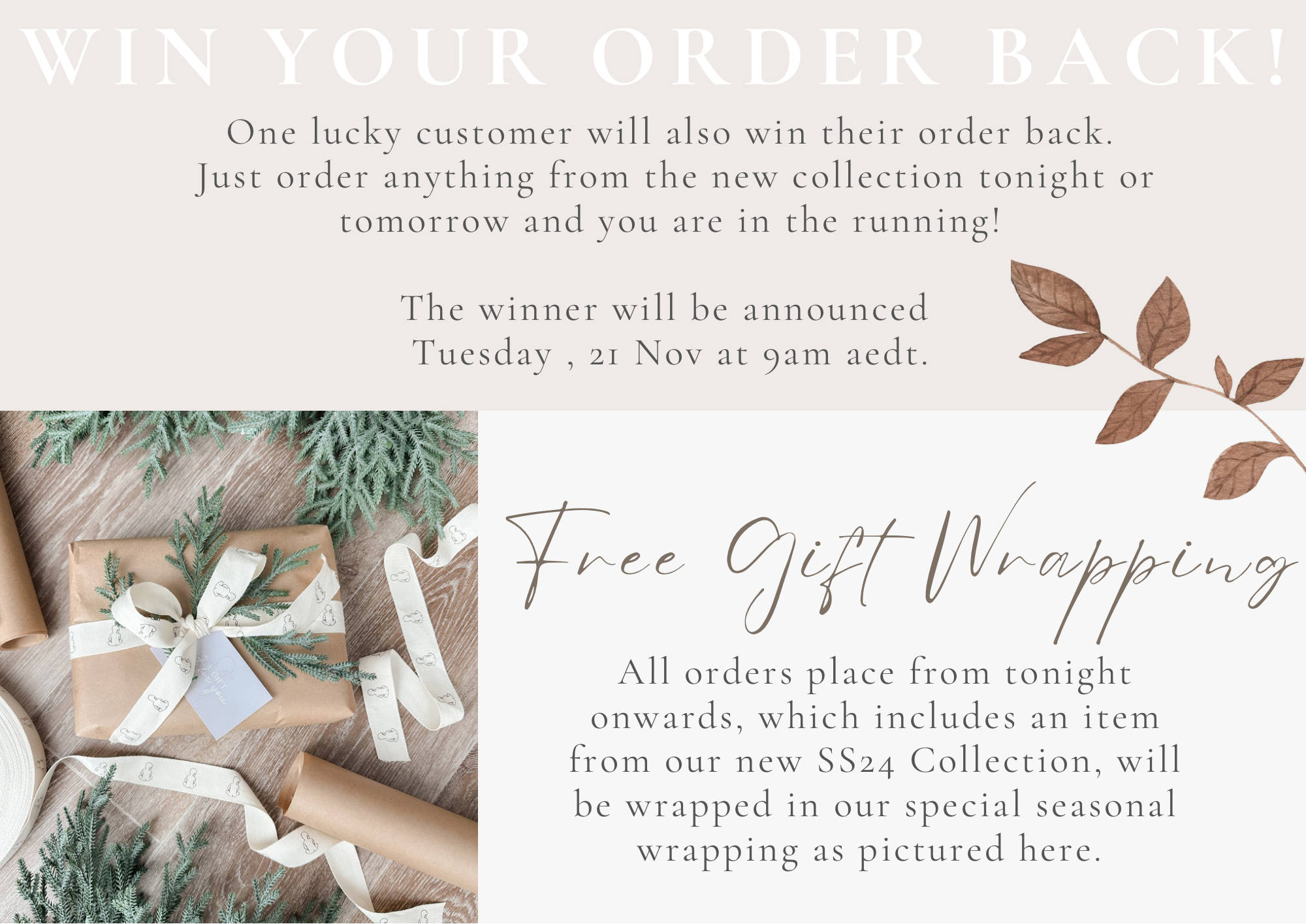 Our long awaited Forest Fables Collection is here 🍂 Pop Ya Tot